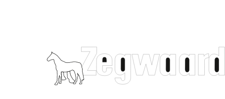 Stal Zegwaard